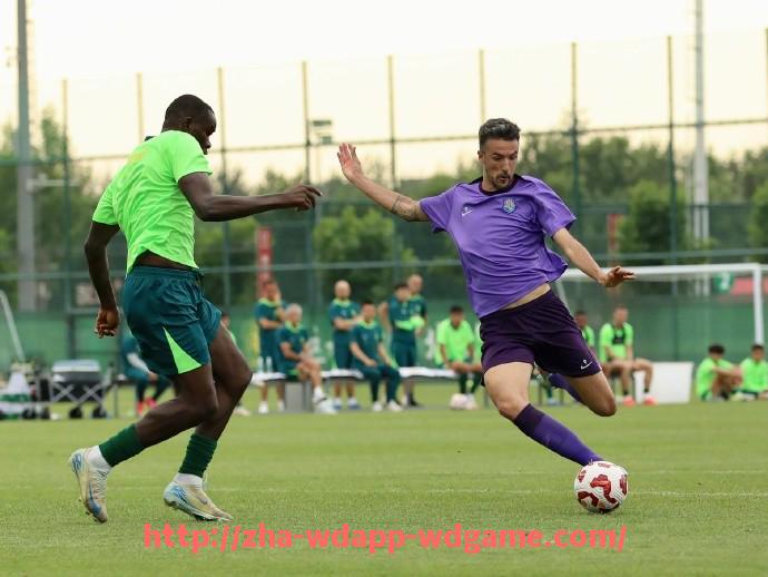 问鼎娱乐官网-法甲主力门将综合排名及数据对比分析