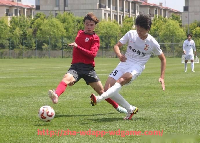 问鼎娱乐官网-德甲各支球队夏季转会期补强策略汇总